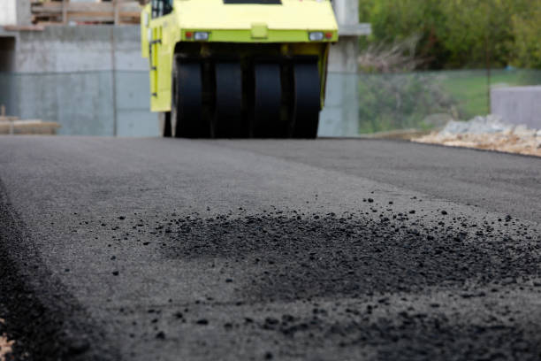 Best Local Driveway Pavers  in Chocowinity, NC