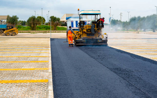 Best Professional Driveway Pavers  in Chocowinity, NC
